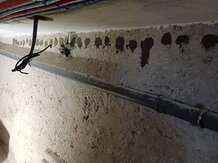 Injektáž pivnice rodinný dom MICHALOVCE